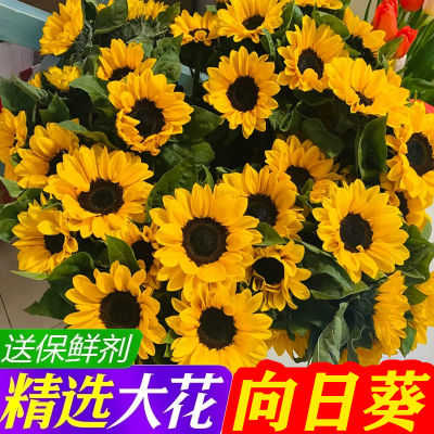 云南鲜花种植基地
