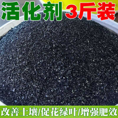 矿源黄腐酸钾显微结构图